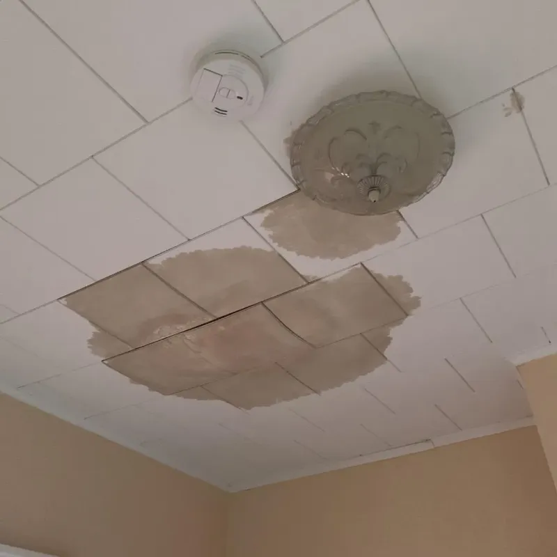 Ceiling Water Damage Repair in Meridian, PA