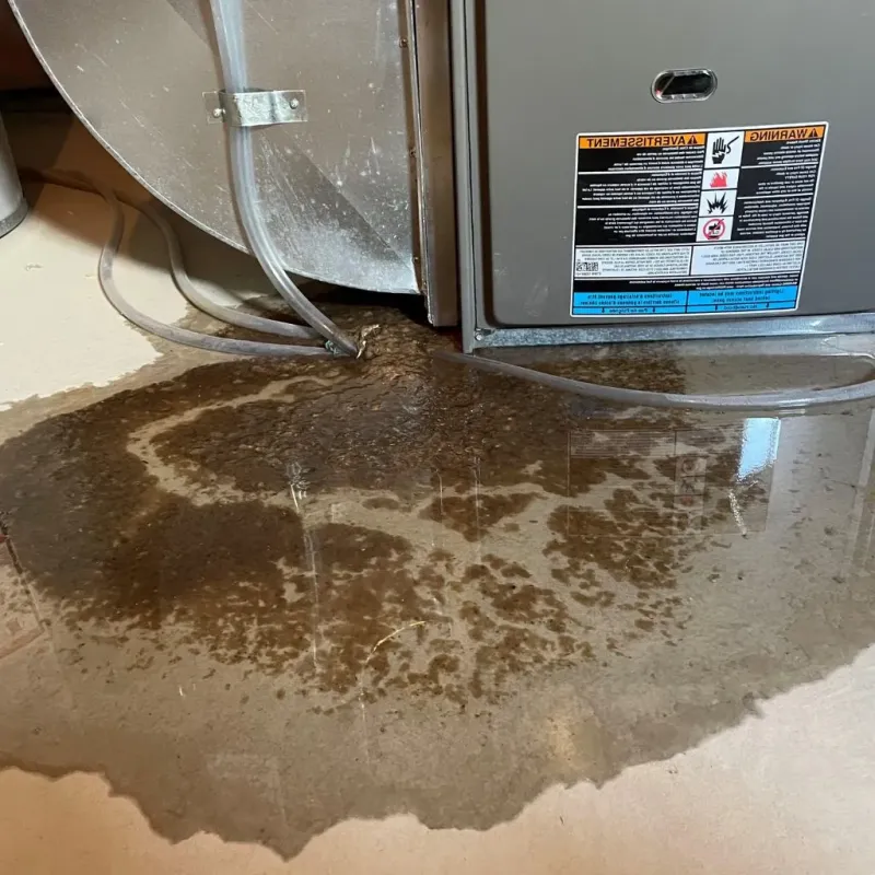 Pipe Burst and Leak Restoration in Meridian, PA