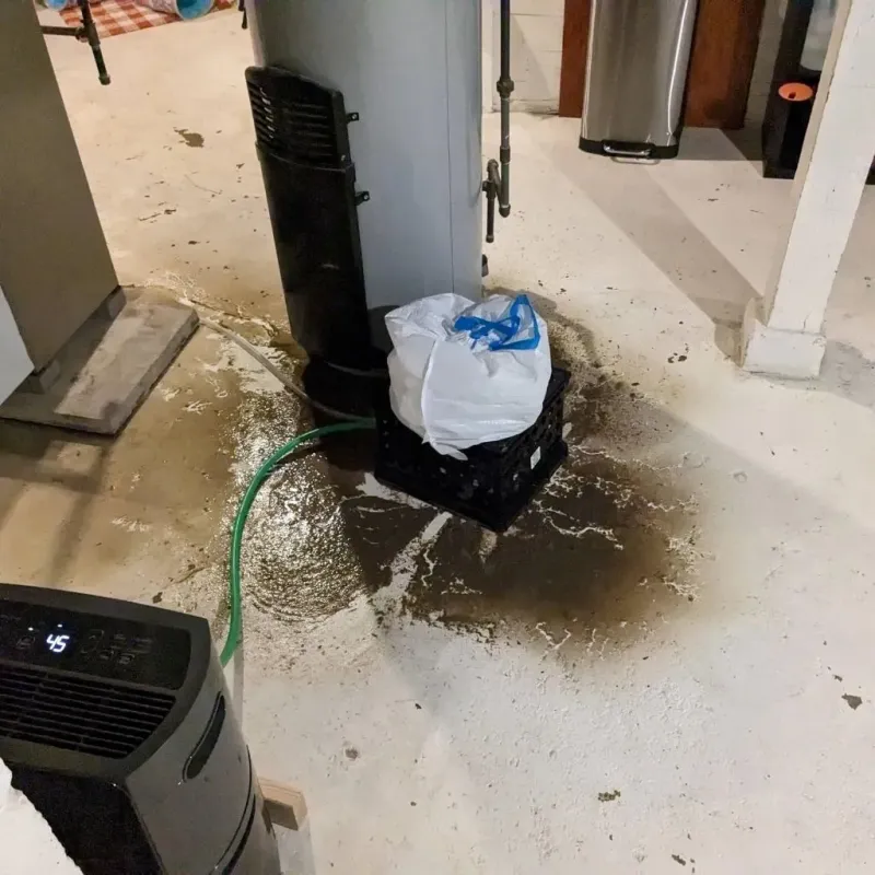 Sewage Backup Cleanup Service in Meridian, PA